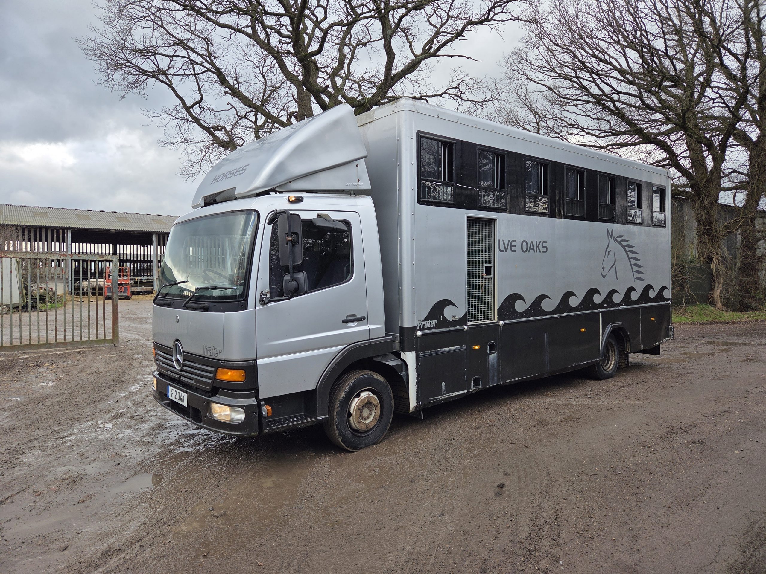 Mercedes 815 Prater Horsebox - Image 3