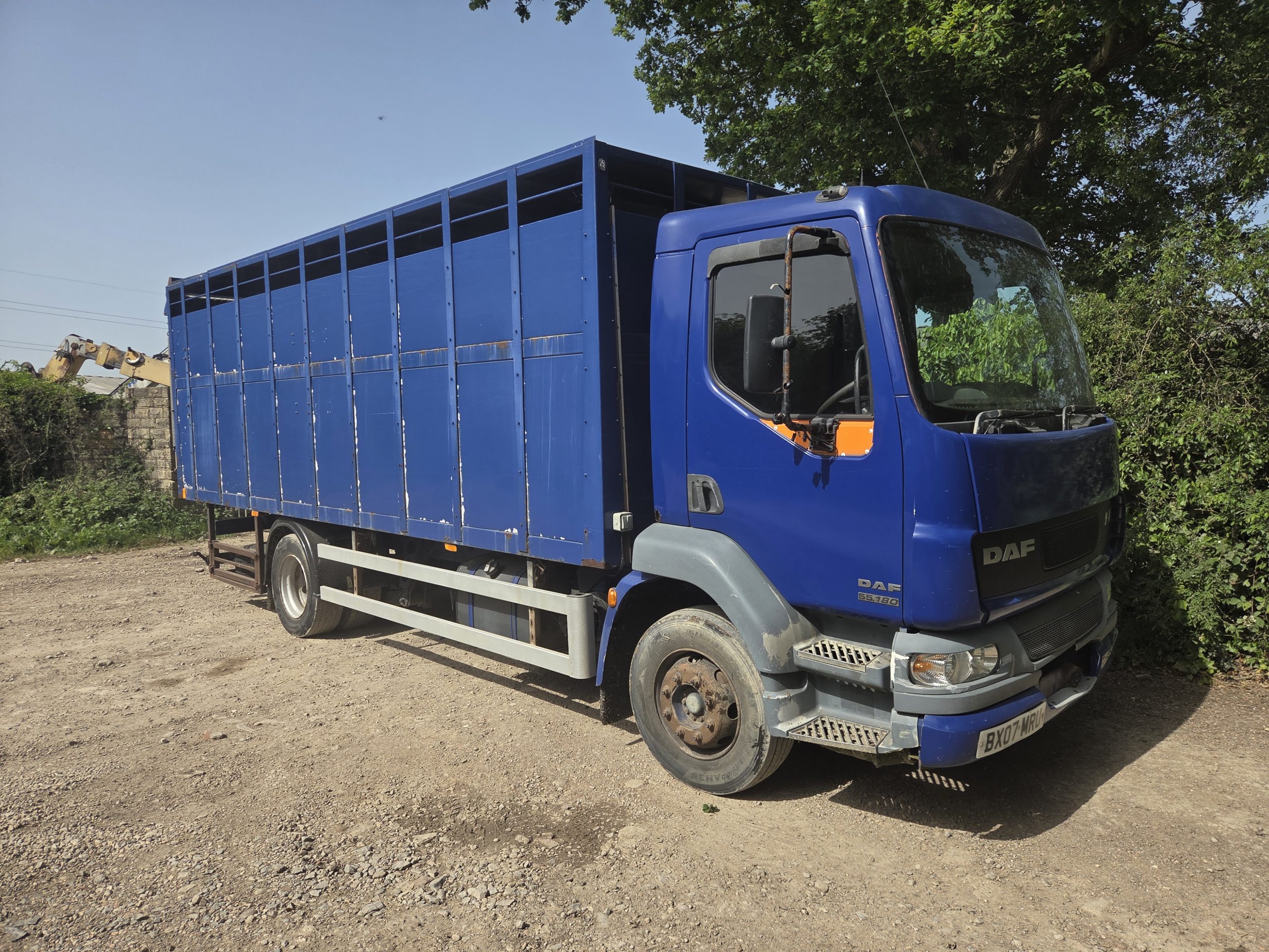 DAF LF 55.180 Livestock lorry - Image 2