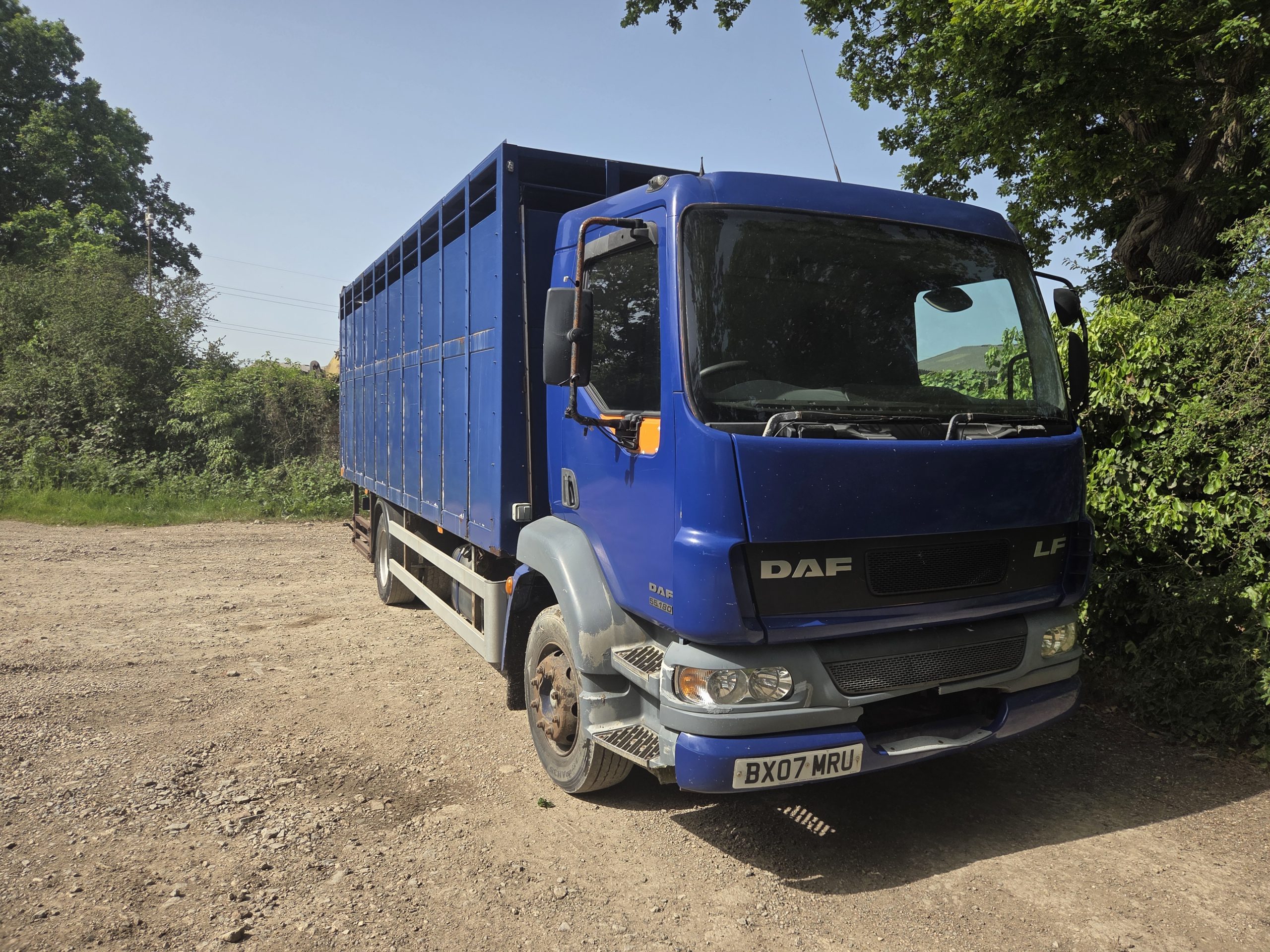 DAF LF 55.180 Livestock lorry - Image 3