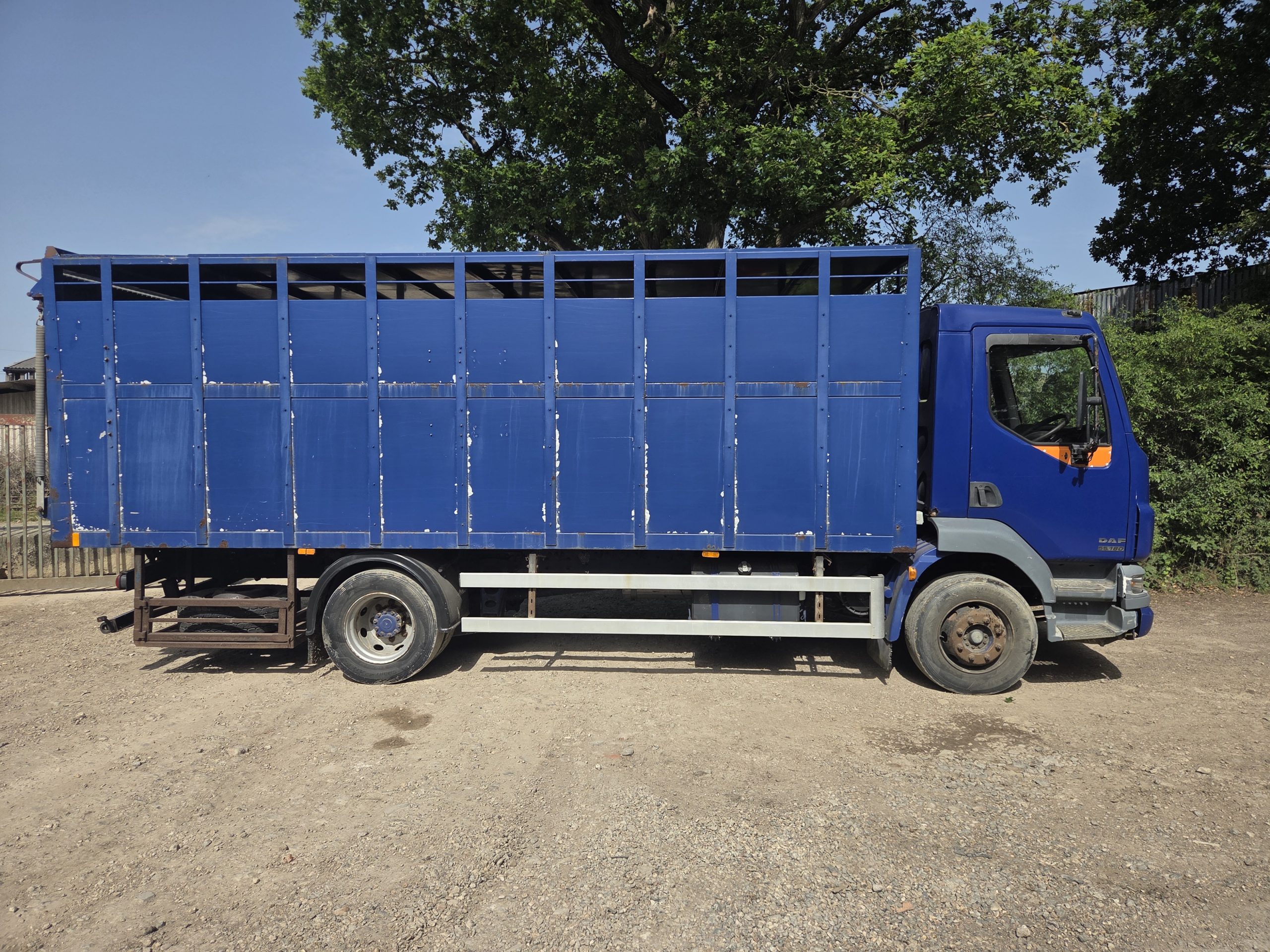DAF LF 55.180 Livestock lorry - Image 4