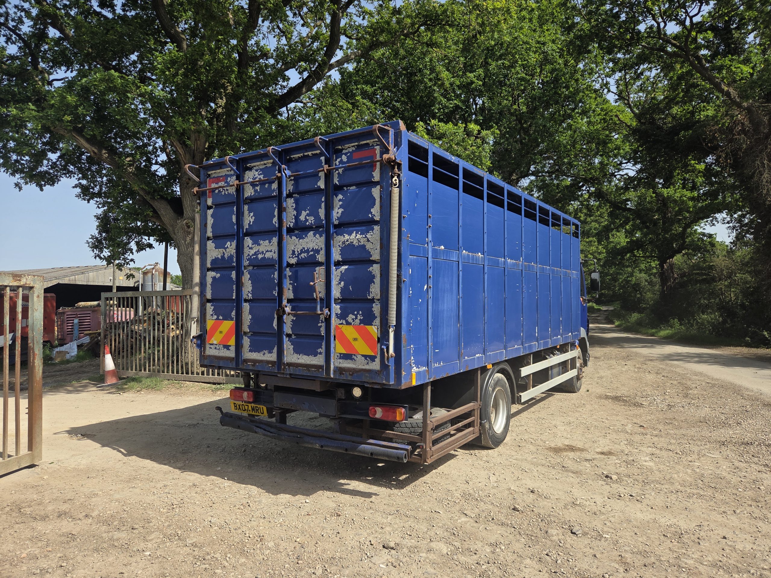 DAF LF 55.180 Livestock lorry - Image 6