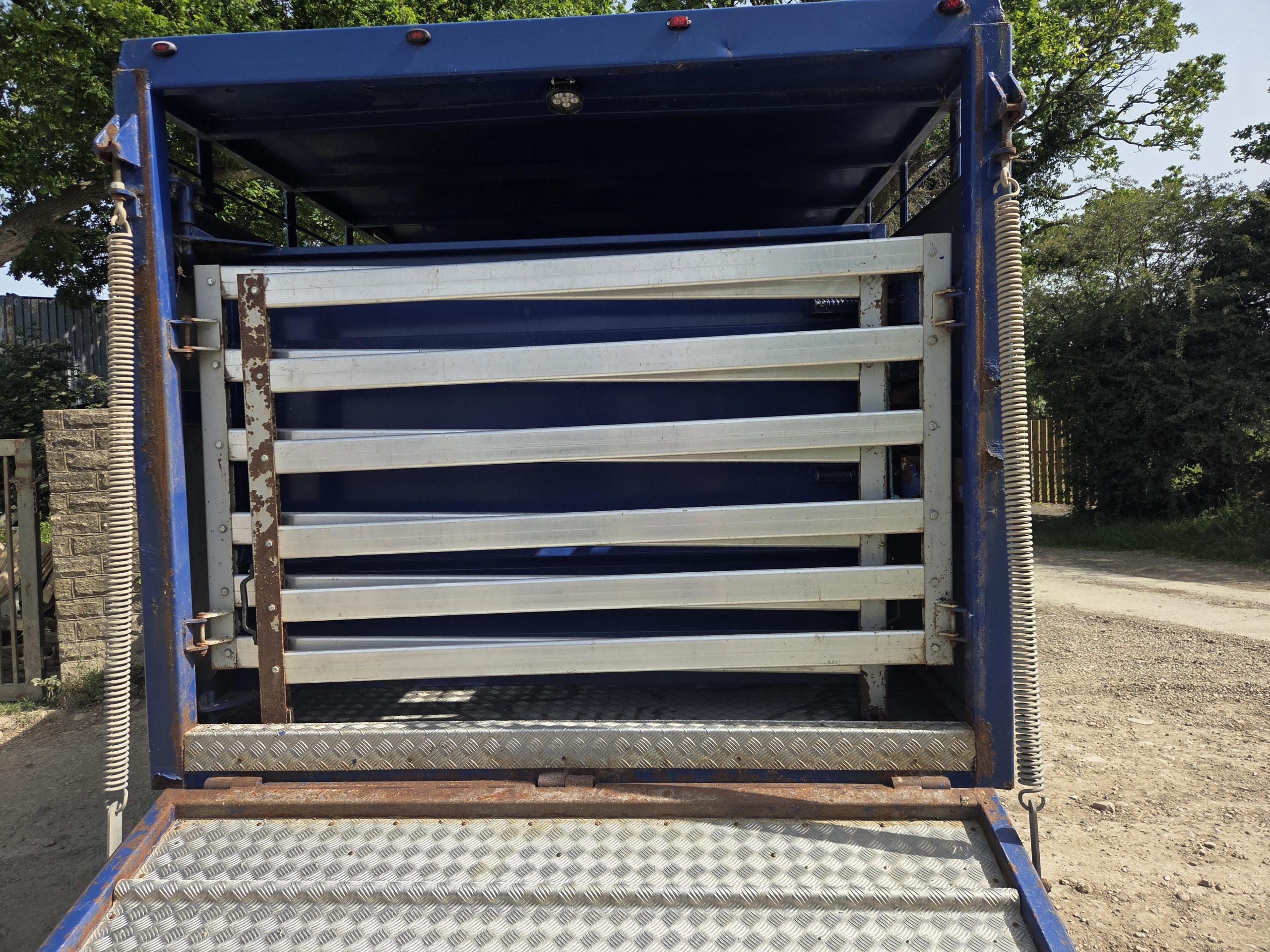 DAF LF 55.180 Livestock lorry - Image 11