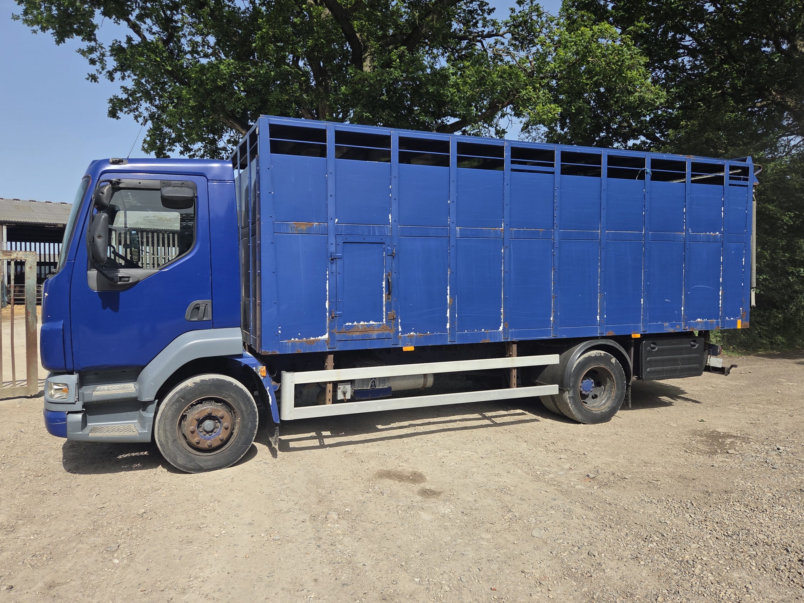 DAF LF 55.180 Livestock lorry - Image 18