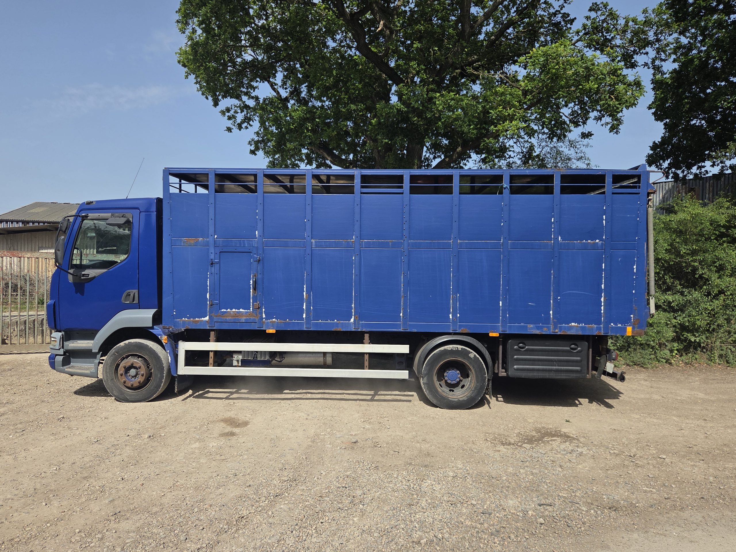 DAF LF 55.180 Livestock lorry - Image 19