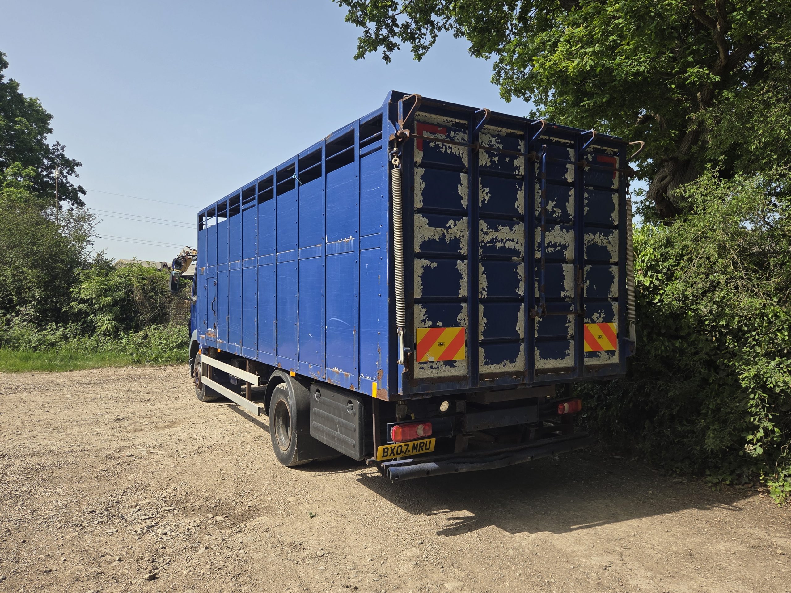 DAF LF 55.180 Livestock lorry - Image 21