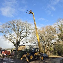 Cat Telehandlers